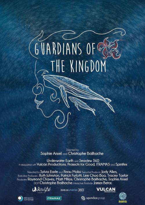 Guardians of the Kingdom 2020 official movie poster