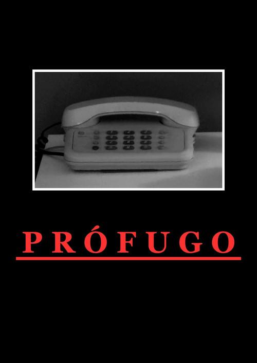 Fugitive 2024 official movie poster