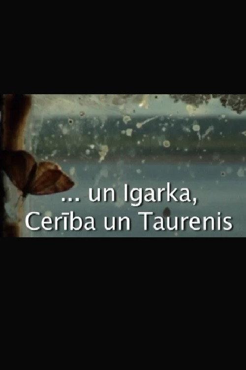 Igarka, Hope and Butterfly 2008 official movie poster