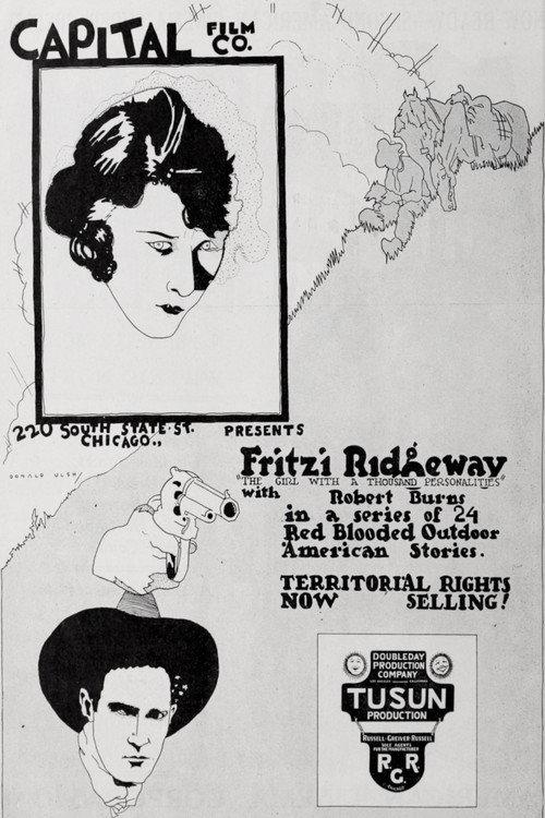 A Woman's Vengeance 1920 official movie poster