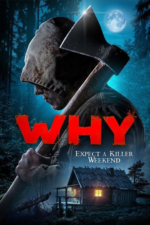 Why? 2021 official movie poster