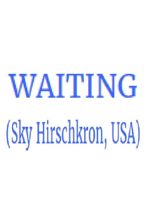 Waiting 2004 official movie poster