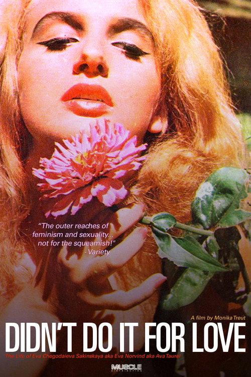 Didn't Do It For Love 1998 official movie poster