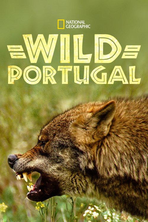 Wild Portugal 2020 official movie poster
