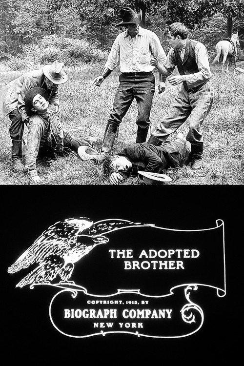The Adopted Brother 1913 official movie poster