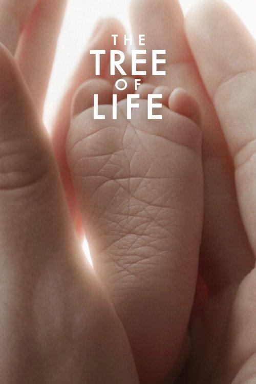 The Tree of Life 2011 official movie poster