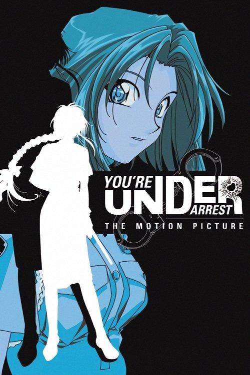 You're Under Arrest: The Motion Picture 1999 official movie poster