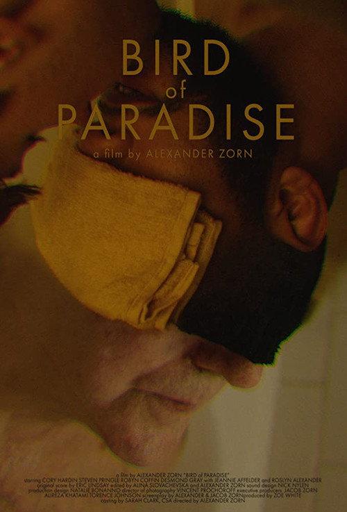 Bird of Paradise 2019 official movie poster