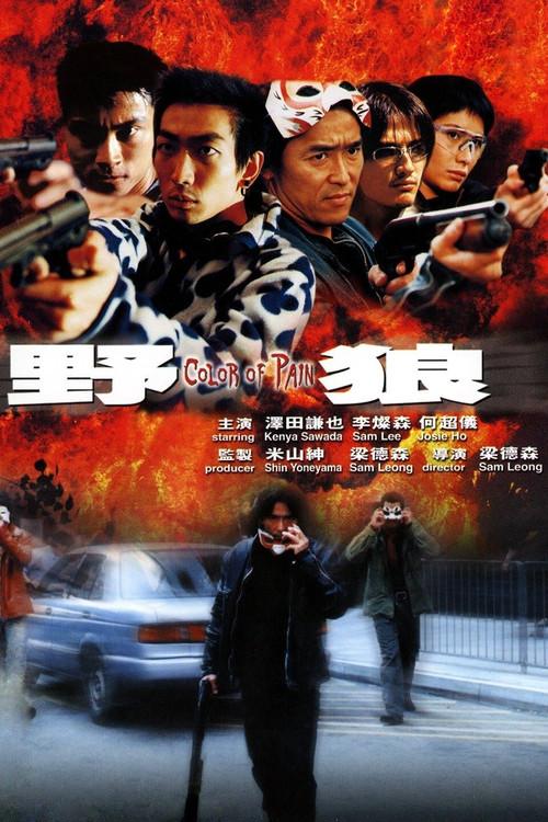 Color of Pain 2002 official movie poster