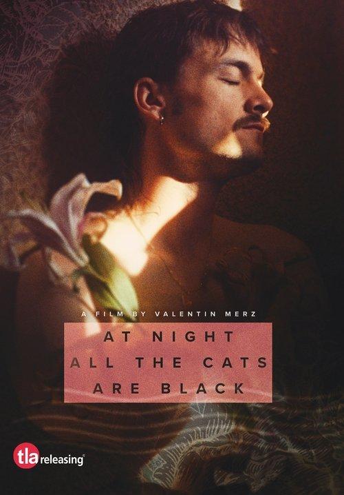 At Night All the Cats Are Black 2023 official movie poster