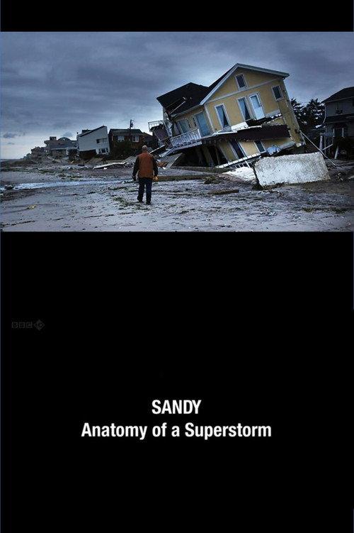 Sandy: Anatomy of a Superstorm 2012 official movie poster