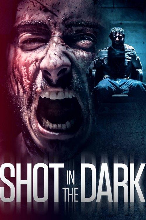 Shot in the Dark 2021 official movie poster