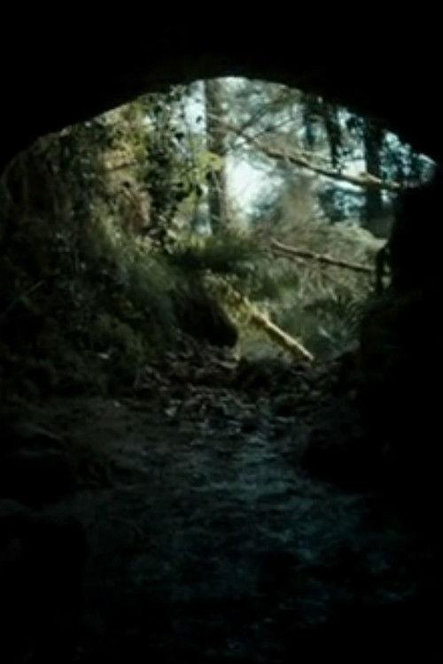 The Beast 2013 official movie poster