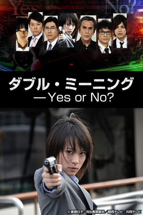 Double Meaning: Yes or No? 2013 official movie poster