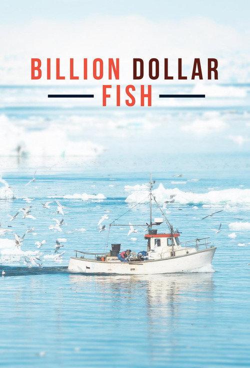 Billion Dollar Fish 2012 official movie poster