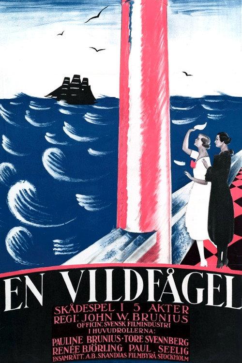 A Wild Bird 1921 official movie poster