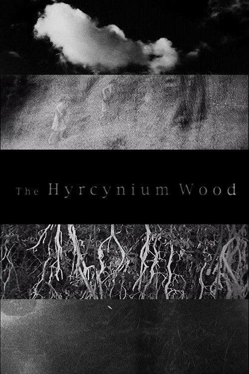 The Hyrcynium Wood 2005 official movie poster