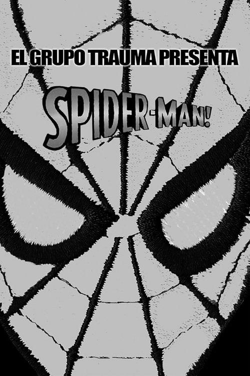Spider-Man! 1993 official movie poster