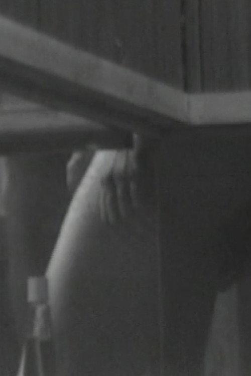 Sauna View 1973 official movie poster