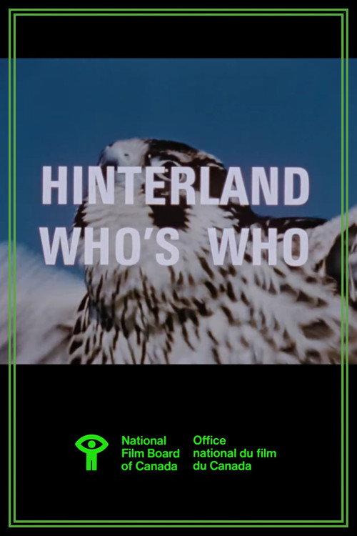 Hinterland Who's Who: Peregrine Falcon 1970 official movie poster