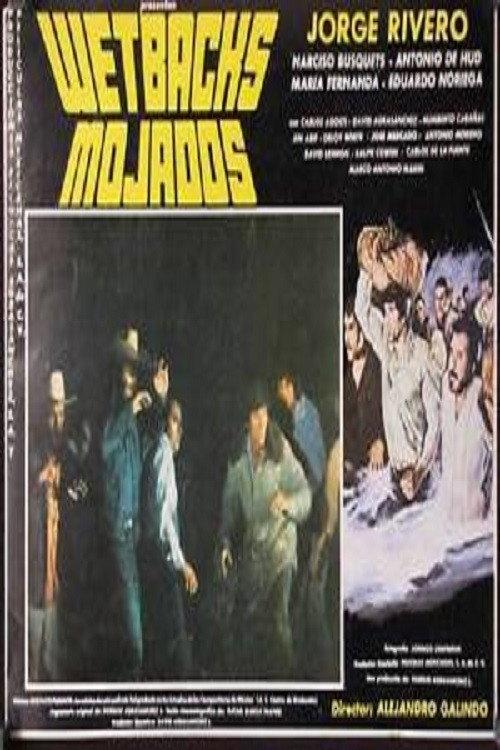 Mojados 1979 official movie poster