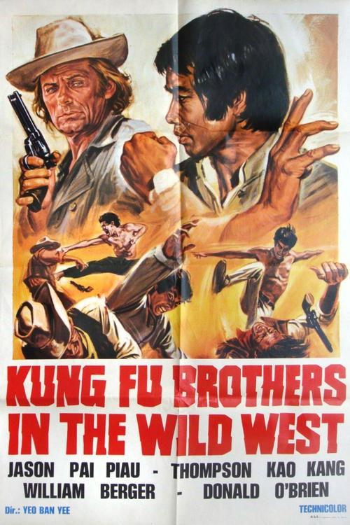 Kung Fu Brothers in the Wild West 1973 official movie poster