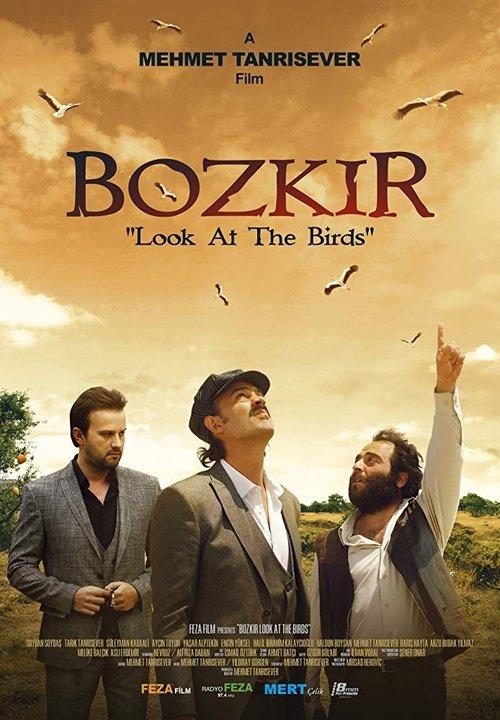 Bozkir "Look at the Birds" 2019 official movie poster