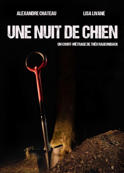 Une nuit de chien 2026 official movie poster
