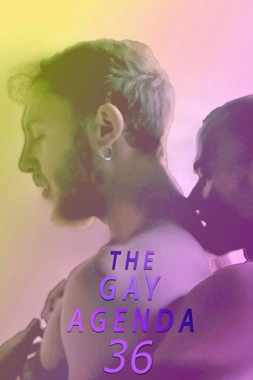 The Gay Agenda 36 2025 official movie poster