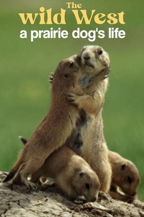 A Prairie Dog's Life 2022 official movie poster