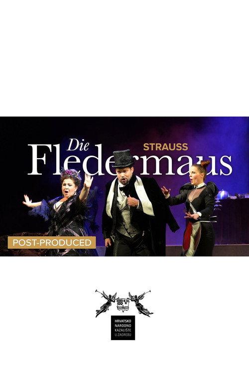 Die Fledermaus - CNT 2024 official movie poster