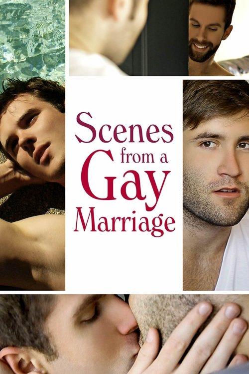 Scenes from a Gay Marriage 2012 official movie poster
