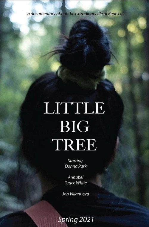 Little Big Tree official movie poster