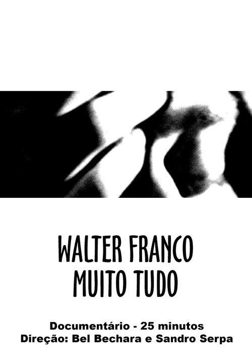 Walter Franco Much Everything 2000 official movie poster