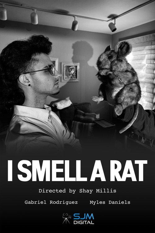 I Smell a Rat 2025 official movie poster