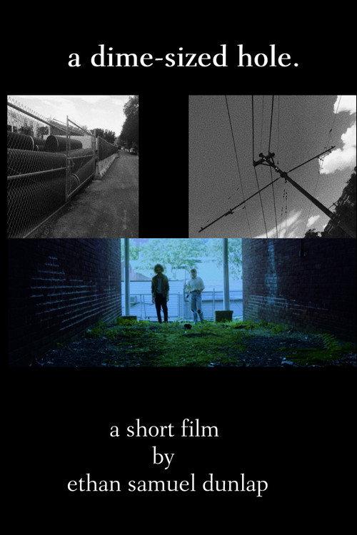 A Dime-Sized Hole official movie poster