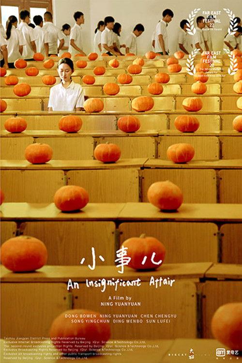 An Insignificant Affair 2020 official movie poster