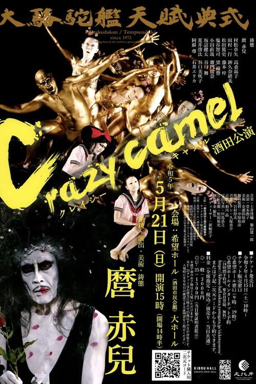 Crazy Camel 2012 official movie poster