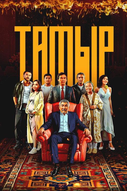 Tamyr 2025 official movie poster