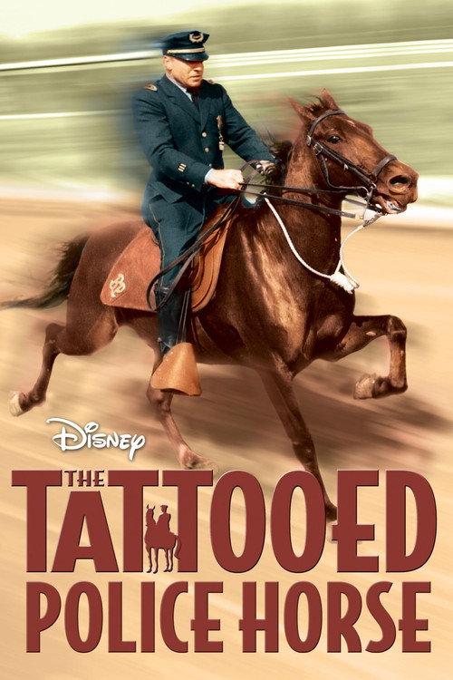 The Tattooed Police Horse 1964 official movie poster