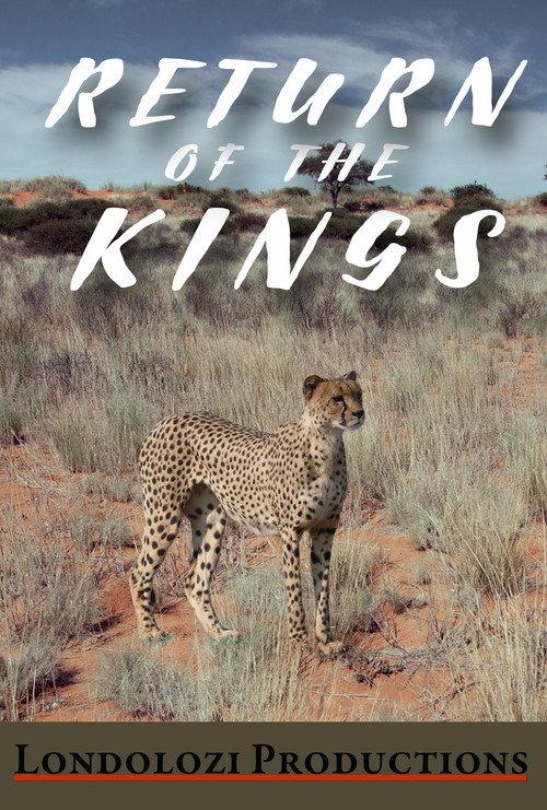 The Return of the Kings 1999 official movie poster