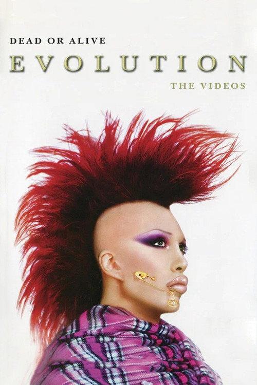Dead Or Alive: Evolution - The Videos 2003 official movie poster