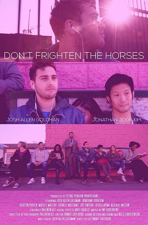 Don't Frighten the Horses official movie poster