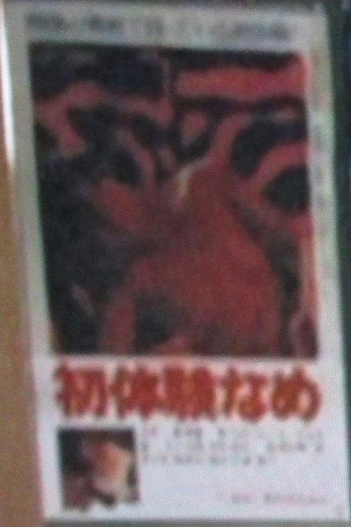 First Time Licking 1981 official movie poster