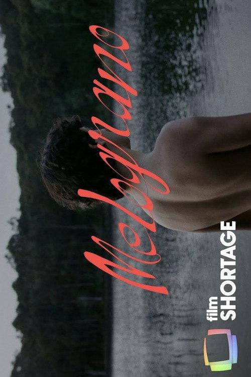 Melograno 2023 official movie poster