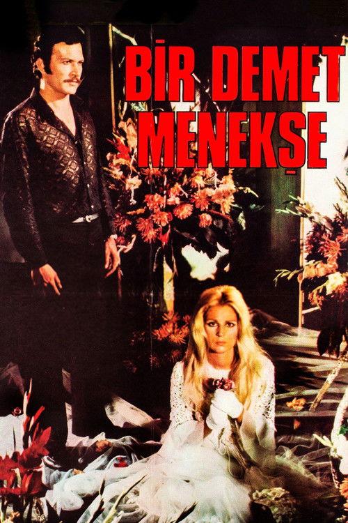 A Bunch of Violets 1973 official movie poster