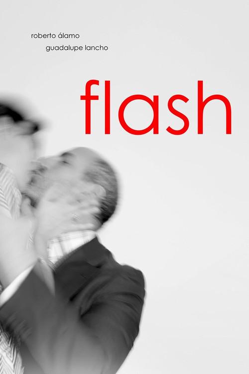 Flash 2014 official movie poster