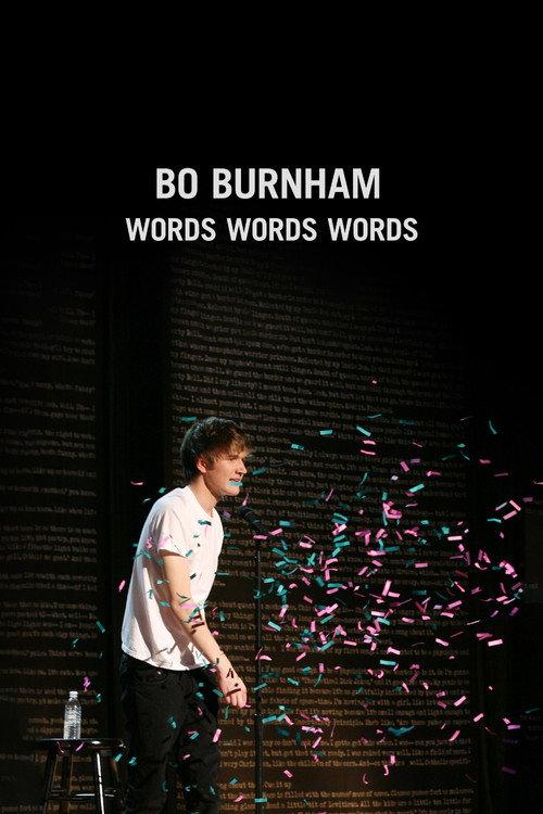 Bo Burnham: Words, Words, Words 2010 official movie poster