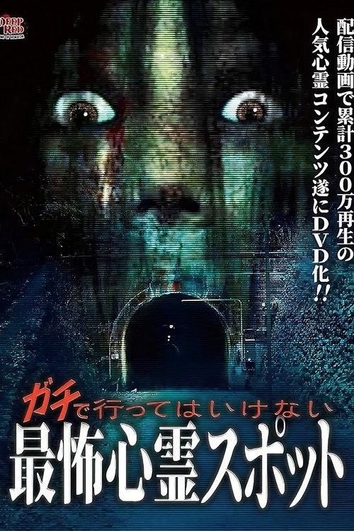 Gachi de Kowai Shinrei Spot! Gekijo-ban Naranu DVD-ban 2013 official movie poster