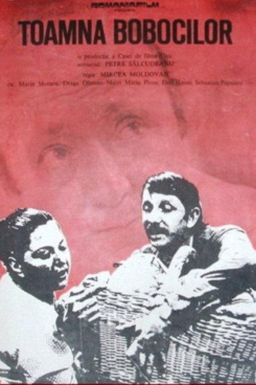 Autumn of the Goslings 1975 official movie poster